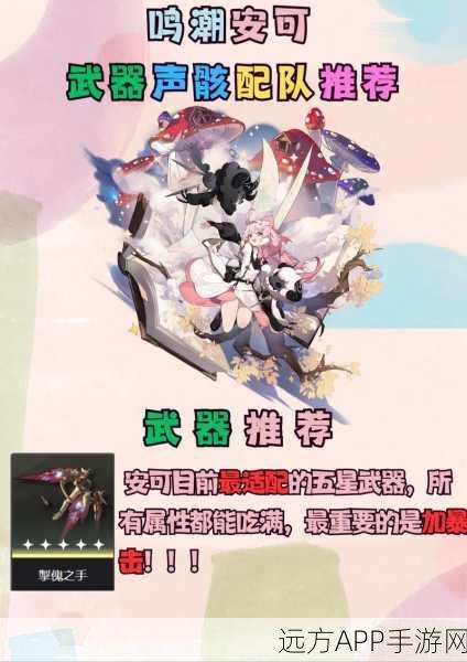 鸣潮安可声骸，角色搭配与武器加点配队全攻略