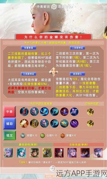 王者荣耀揭秘，金蝉英雄击杀语音全解析及赛场精彩瞬间回顾