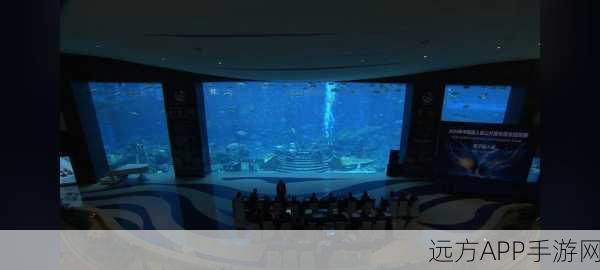神秘海底遗迹探秘,创造与魔法大赛震撼开启