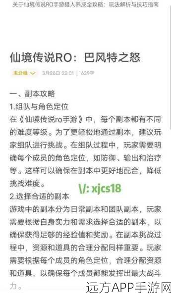 仙境传说RO,猎人技能加点深度解析与实战攻略