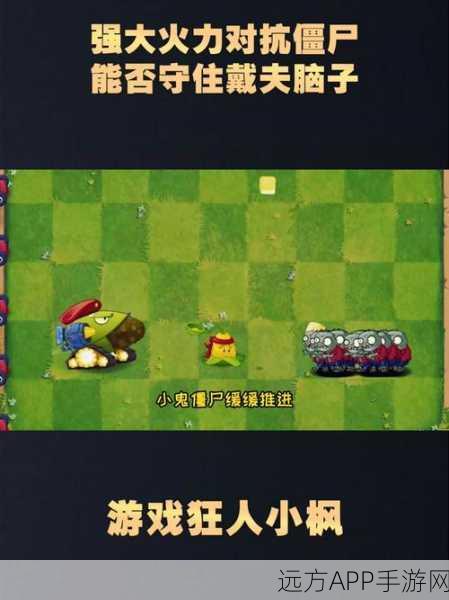 休闲闯关新挑战,传送门僵尸粉碎者——技巧与策略的双重考验