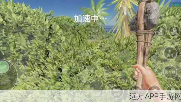荒岛生存挑战，木筏求生与绿色地狱，第一人称高自由度冒险等你来战！