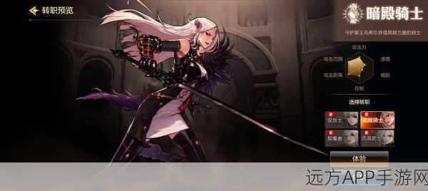 DNF绝美揭秘,暗殿骑士高冷御姐美术设定全览及技能亮点