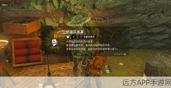 塞尔达传说，揭秘依盖队套装的神秘获取途径