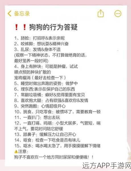 萌宠治愈新体验,狗狗庇护所模拟经营手游深度解析