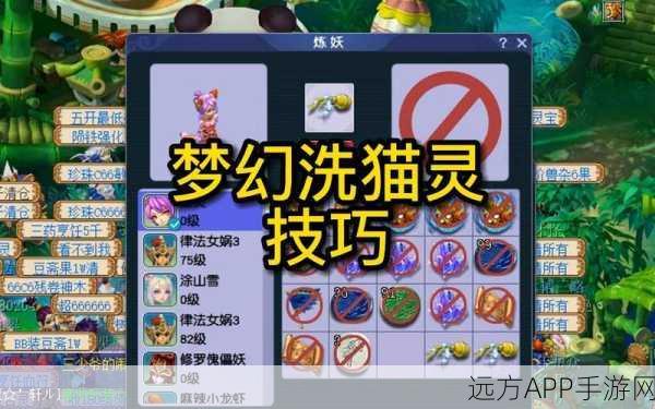 梦幻西游手游,揭秘时光猫隐藏成就攻略,助你轻松解锁终极荣耀