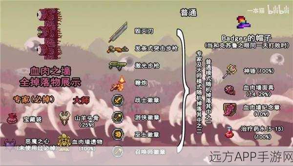 泰拉瑞亚探险揭秘，猪龙掉落物品全解析及战斗攻略