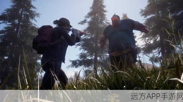腐烂国度2主宰版，揭秘无线电的终极用途与策略指南