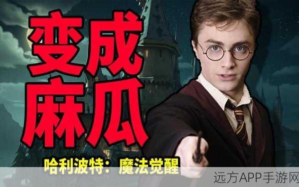 哈利波特魔法觉醒,深度攻略!揭秘高效获取红色线索的绝密技巧
