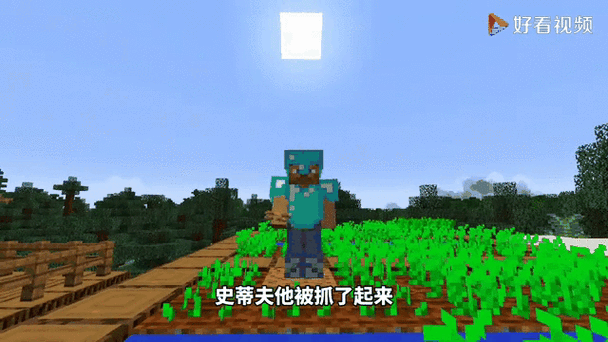 揭秘我的世界史蒂夫麦田图鉴,打造梦幻农场的终极指南