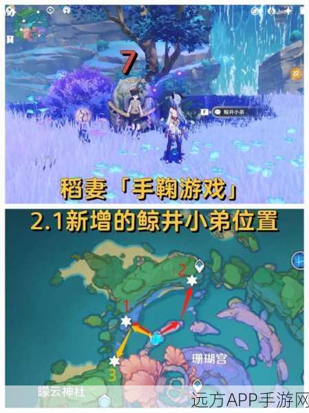 原神鲸井小弟全地图位置揭秘与任务攻略大放送!