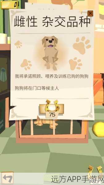边境之旅宠物店解锁全攻略，轻松开启萌宠相伴之旅