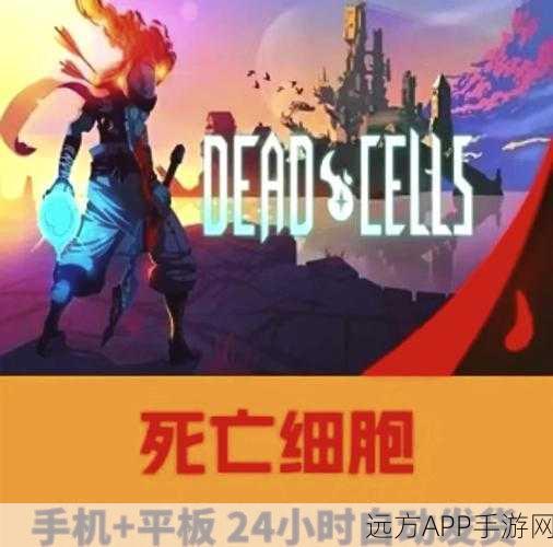 重生细胞深度攻略，解锁王后万岁成就的必胜秘籍