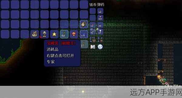 泰拉瑞亚攻略，揭秘泥土变草地魔杖的神奇用法与实战技巧