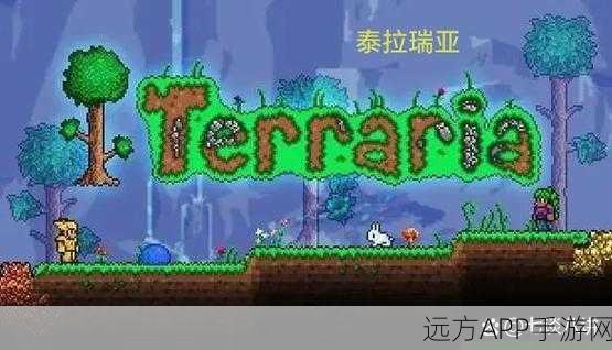 泰拉瑞亚创意大赛,探索桶的制作艺术,赢取独家游戏礼包