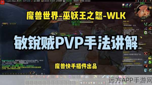 WLK敏锐贼PVE全攻略，解锁生存与输出的终极奥义