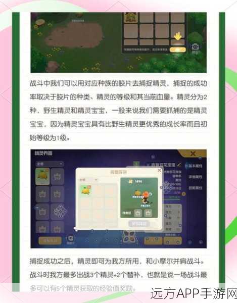 摩尔庄园,顶尖精灵挑选与培育秘籍,助你称霸精灵对战!