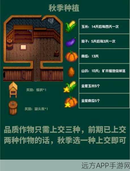 星露谷物语，秋季盛宴庆典，探索丰收与冒险的双重惊喜
