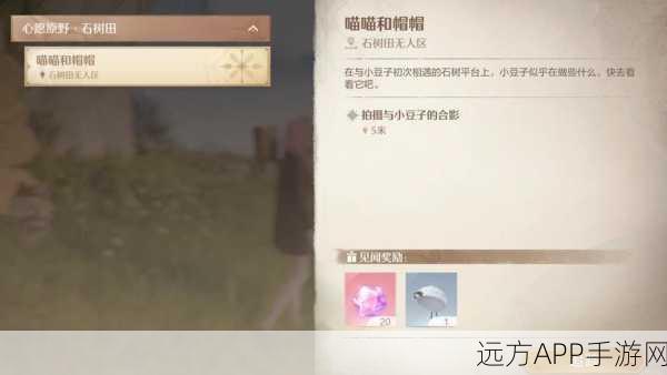 探秘无限暖暖,解锁时光树隐藏位置的全面攻略