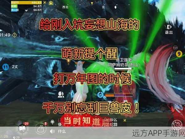 妄想山海,全面揭秘登龙珠获取攻略与竞技盛宴