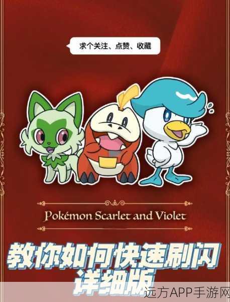 高效攻略，宝可梦大探险快拳郎速刷与竞技制胜秘籍