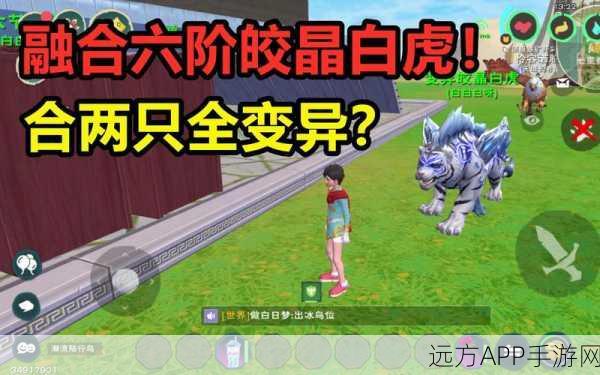 手游攻略大揭秘，创造与魔法6阶白虎稳定合成术及最新更新详解