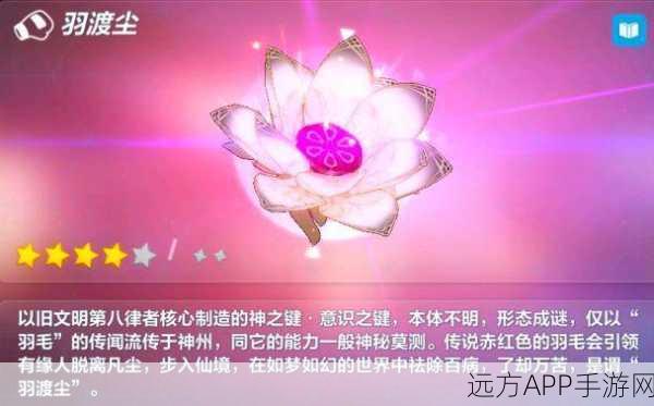 崩坏3深度攻略,揭秘黑渊神之键技能,解锁战斗新境界