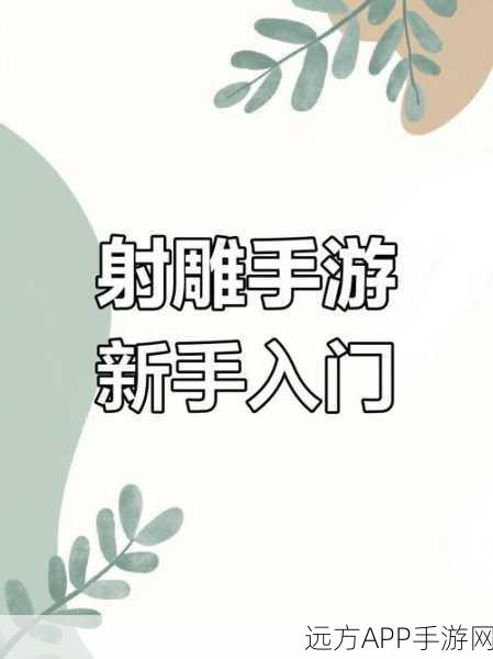 手游秘籍大揭秘，射雕功法获取与修炼全攻略