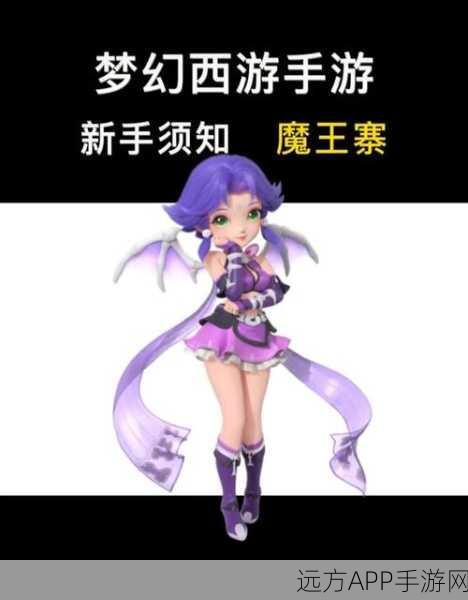 梦幻西游仙境同修行,全面攻略与活动细节揭秘