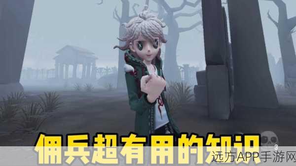 佣兵大战僵尸，顶尖选择策略与实力对比深度剖析