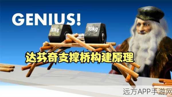 闲置的桥,策略与智慧的桥梁构建大赛