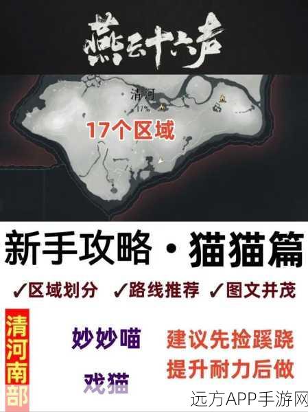燕云十六声，喵老大难当任务全攻略，技巧与细节大揭秘
