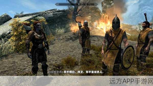 上古卷轴5，天际重制版黑屏问题全攻略，助你畅享奇幻之旅