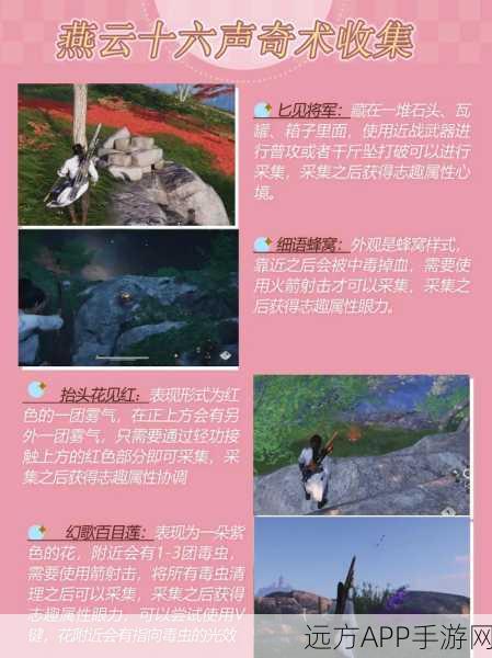 探秘燕云十六声，猫猫大头隐藏任务全攻略