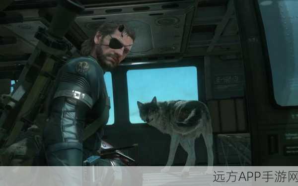 合金装备5，幻痛——高效捕捉动物指南