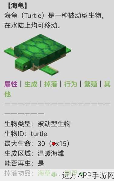 揭秘我的世界，海龟碎片的珍稀秘密与高效获取攻略