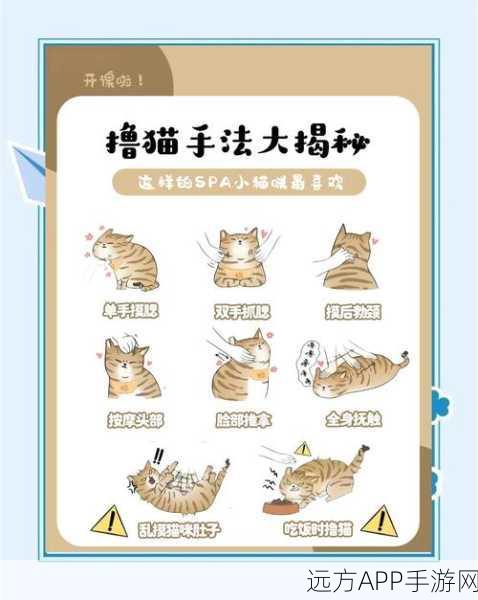 手游攻略大揭秘，轻松捕获与养成萌宠猫咪，尽在创造与魔法