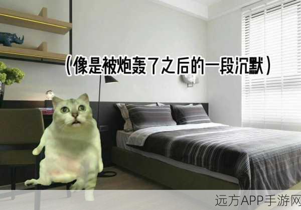 喵喵流MeowFlow，萌宠猫咪挑战赛，趣味无限！