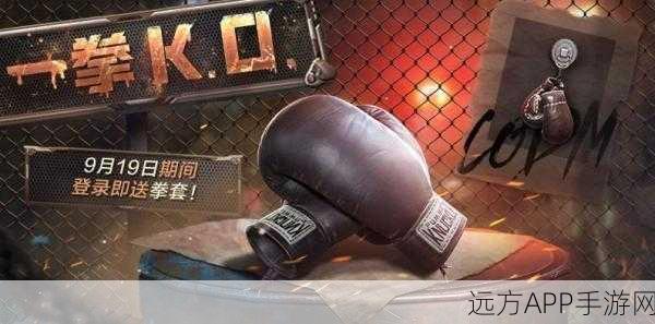 使命召唤国服,拳击套终极攻略,解锁方式与实战技巧大揭秘