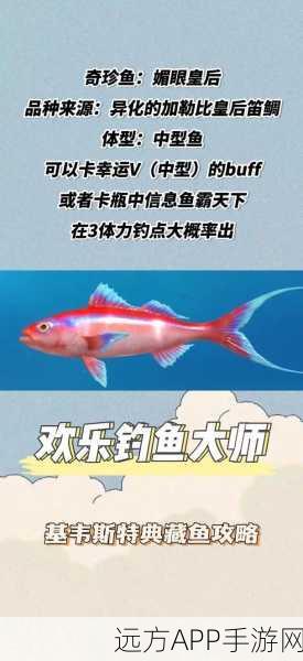 欢乐钓鱼大师锦标赛,深度攻略与赛事亮点揭秘