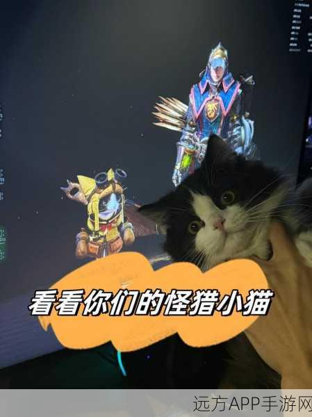 怪物猎人新篇章，揭秘猫咪伙伴的成长与挑战赛