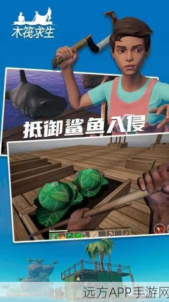 双人海岛求生2下载_深受玩家喜爱的趣味模拟生存游戏