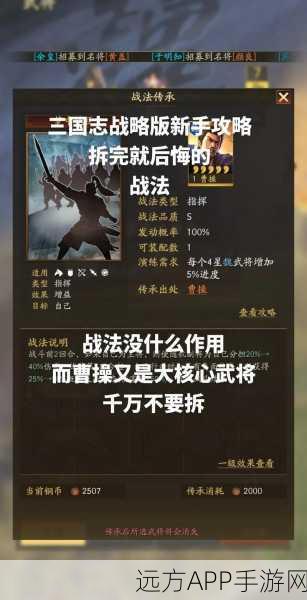 三国志13顶尖战法揭秘,解锁最强组合与制胜策略