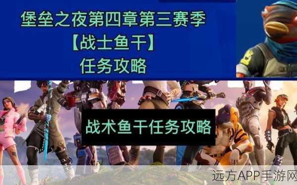 堡垒之夜四排小队精英战术,高效分工策略揭秘