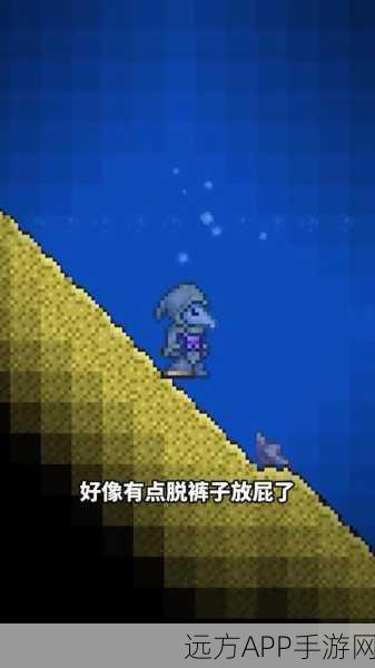 泰拉瑞亚金套争霸赛，荣耀之选，冒险者的终极装备挑战