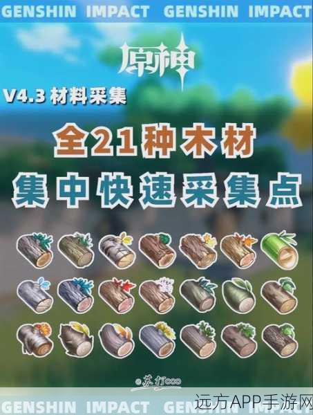 原神枯木方向标图纸全攻略,解锁步骤与高效获取技巧揭秘