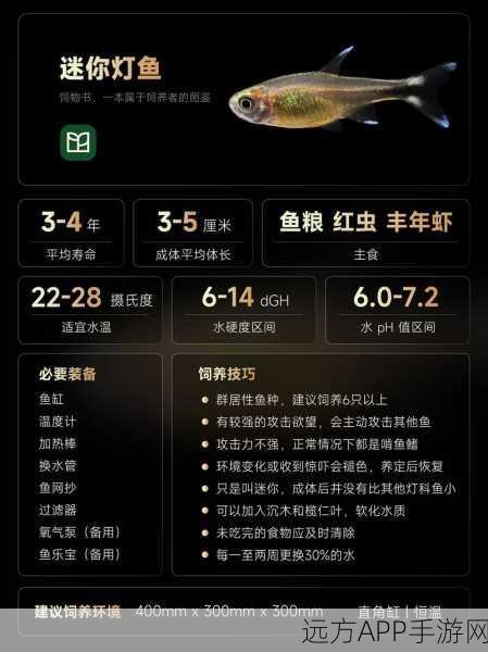 迷你世界探索指南，揭秘灯笼鱼的神秘栖息地及捕捉技巧