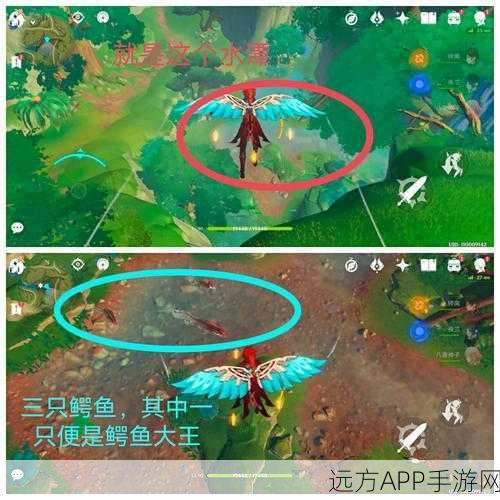原神凶猛动物大追踪,任务触发与攻略全揭秘