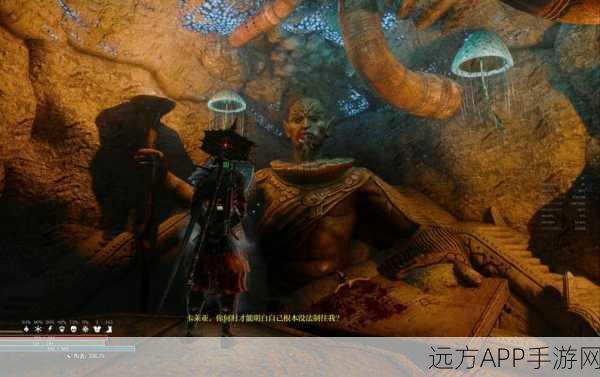 上古卷轴5火盐代码揭秘，独家分享与游戏深度探索