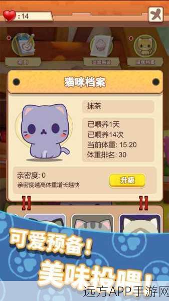 仙侠战斗新体验，养只大肥猫手游深度评测